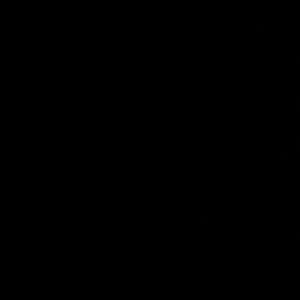 Meet your Posher, Daphine